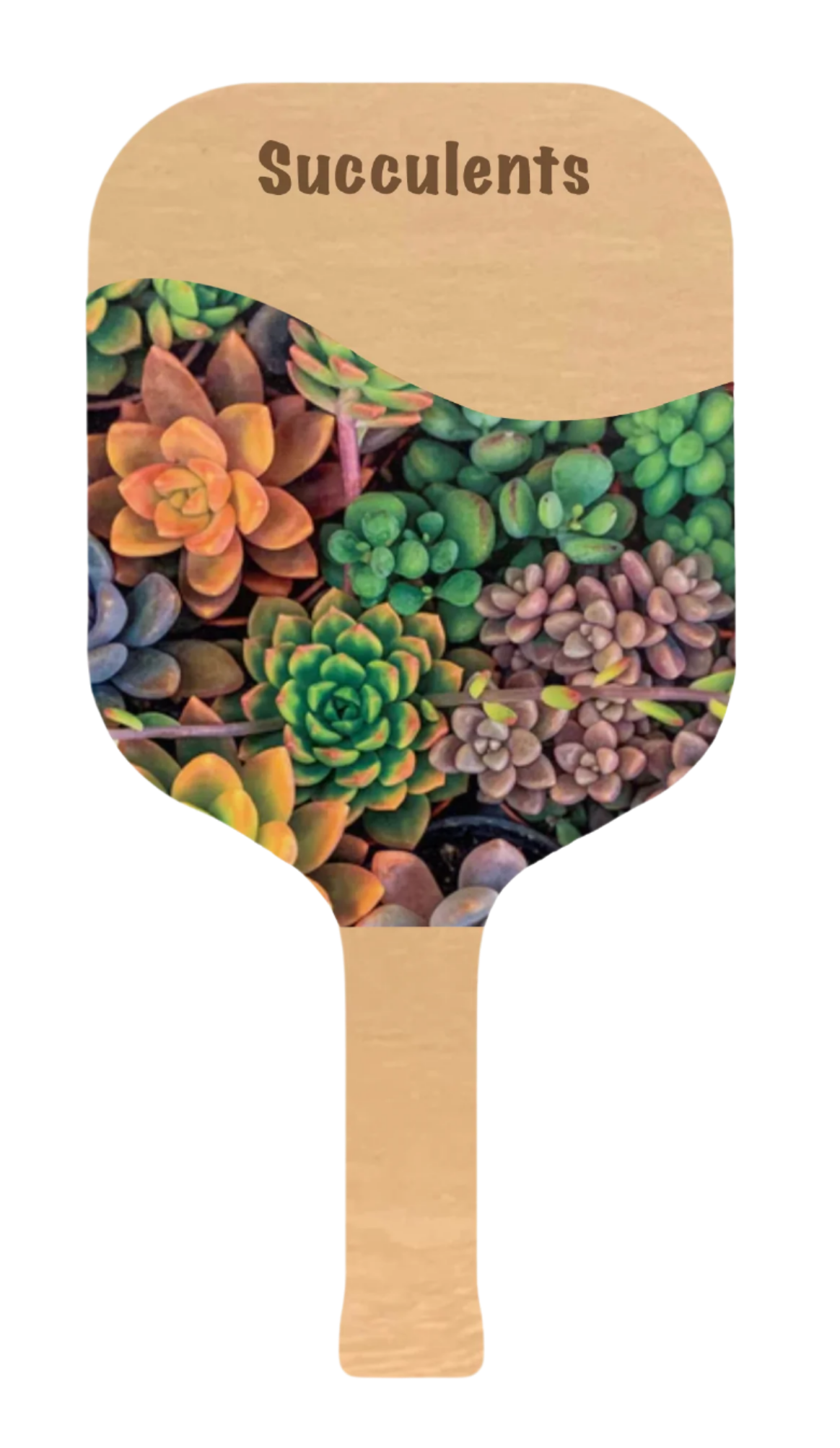 Floral Picklepops