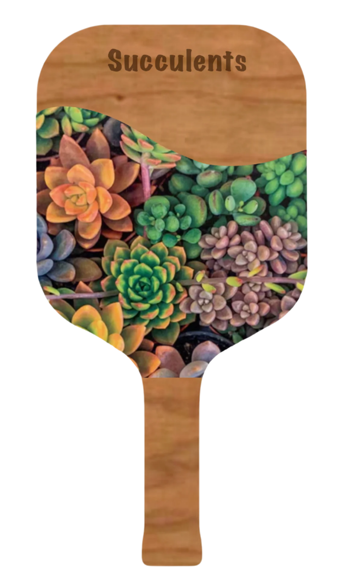 Floral Picklepops