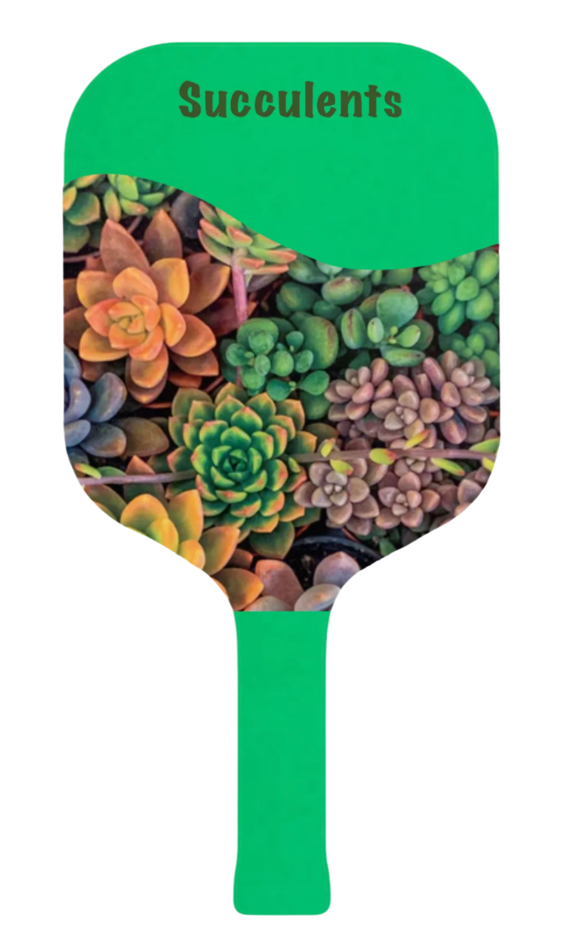 Floral Picklepops