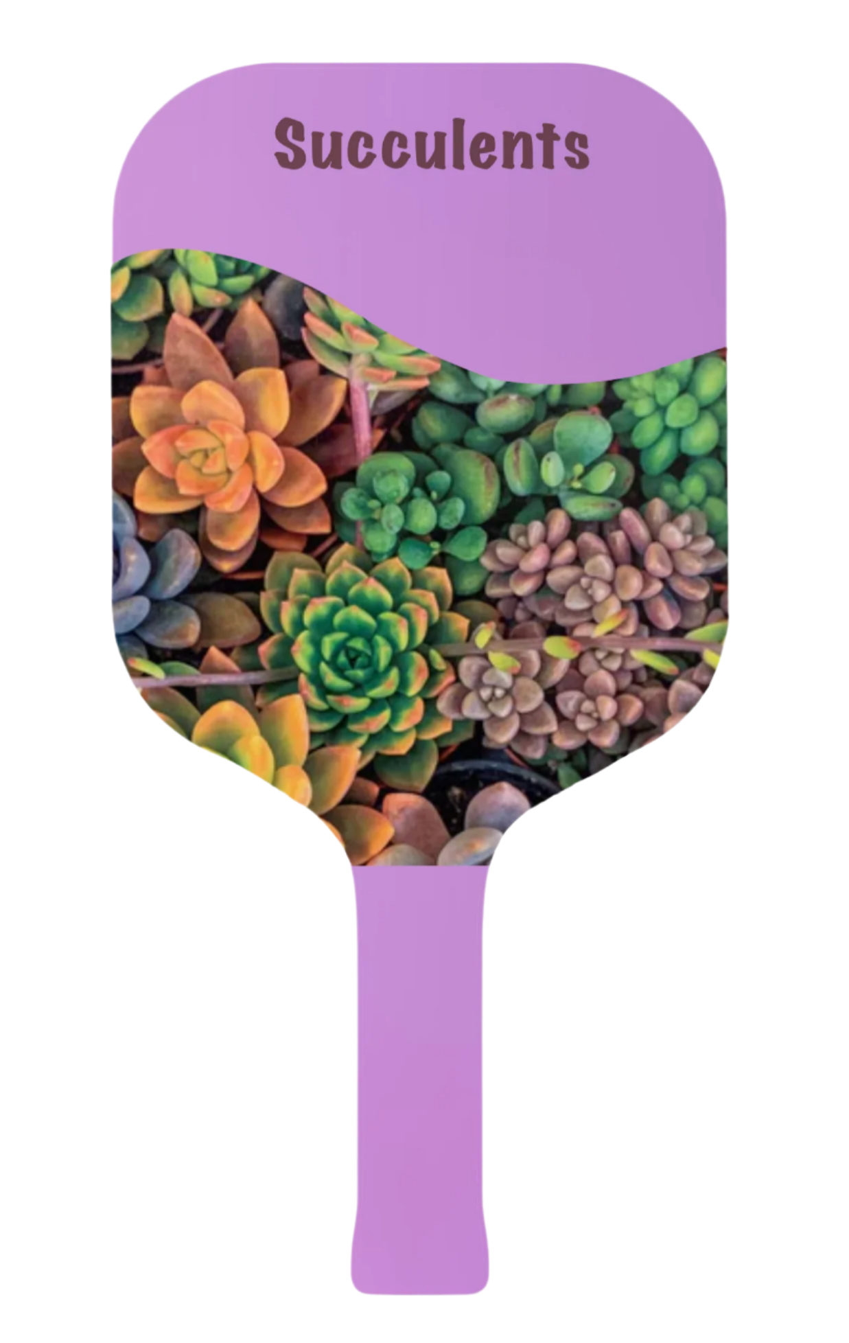 Floral Picklepops