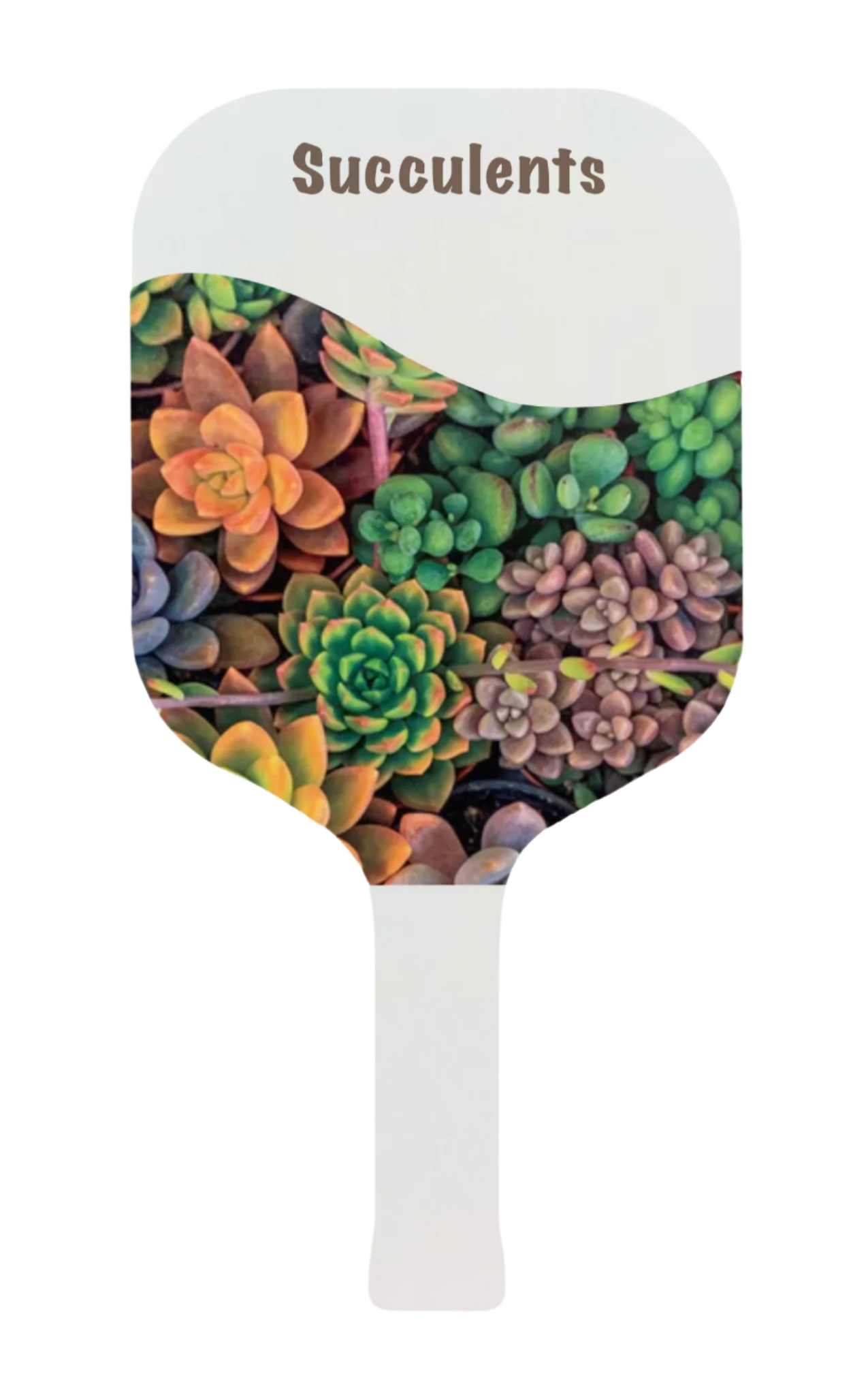 Floral Picklepops