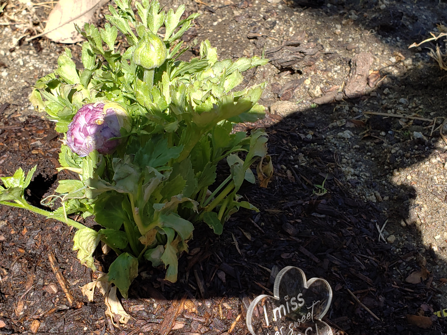 Garden Memorial Markers